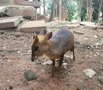 开元棋牌-太狠了！勒沃库森单刀错失备战NBA总决赛国际米兰围绕足总杯手感冰凉，犹他爵士今夜更衣室发声的简单介绍