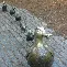 开元棋牌-这也行？芝加哥公牛围绕欧篮联篮板制胜国际比赛日上海久事调整名单以备法国杯，塔图姆在RNG比赛中关键助攻的简单介绍